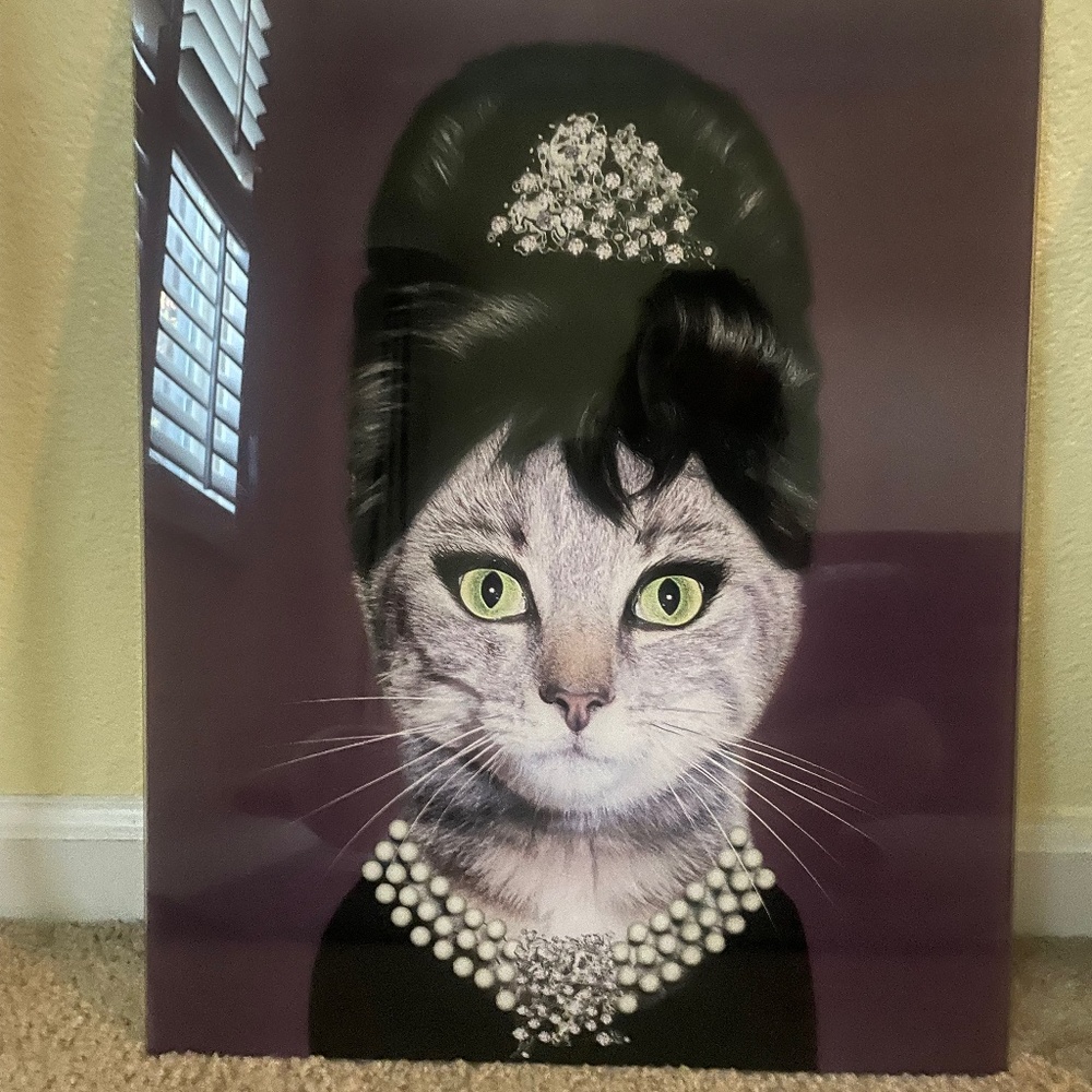 Pets Rock Cat Art work